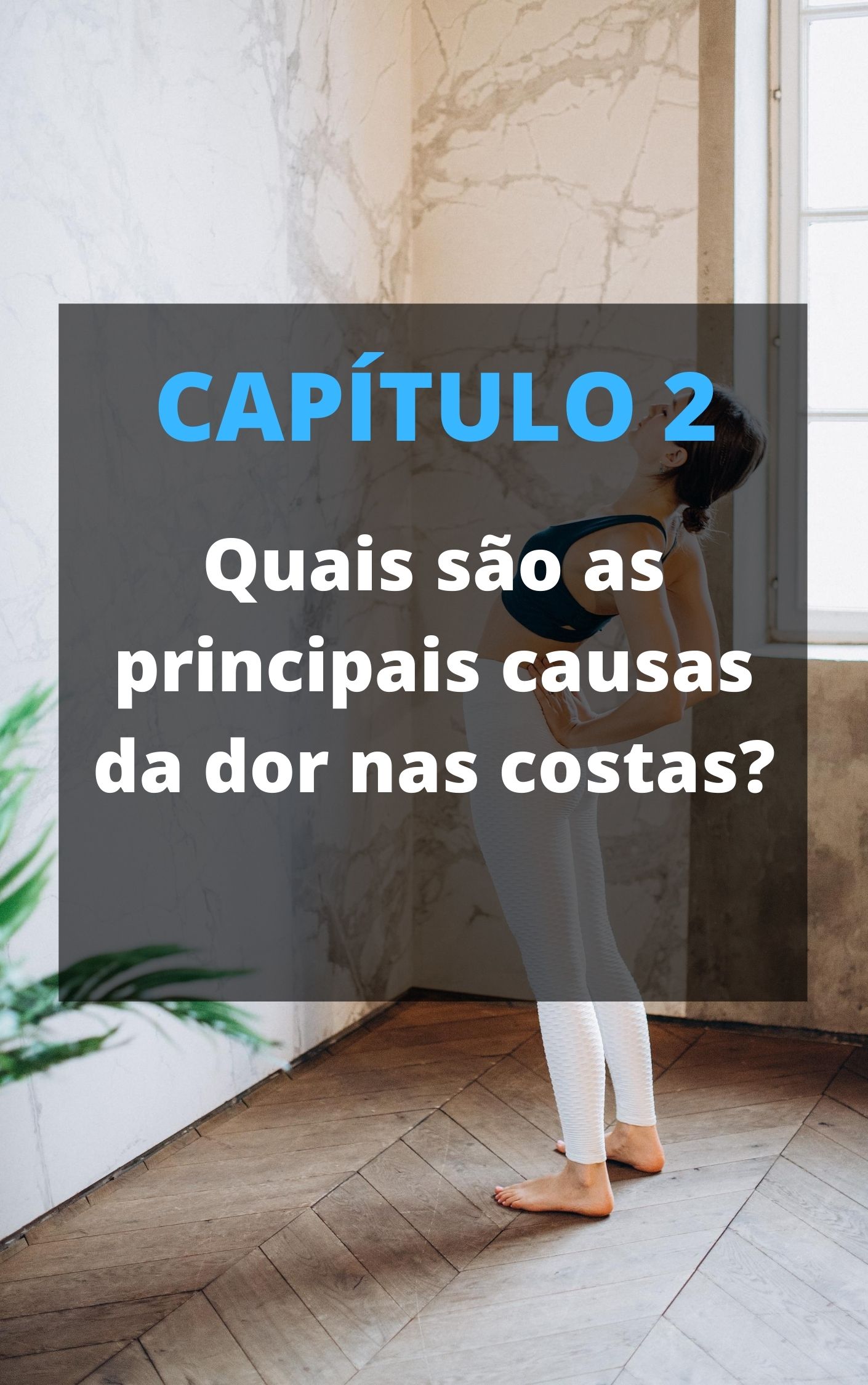 Capítulo 7